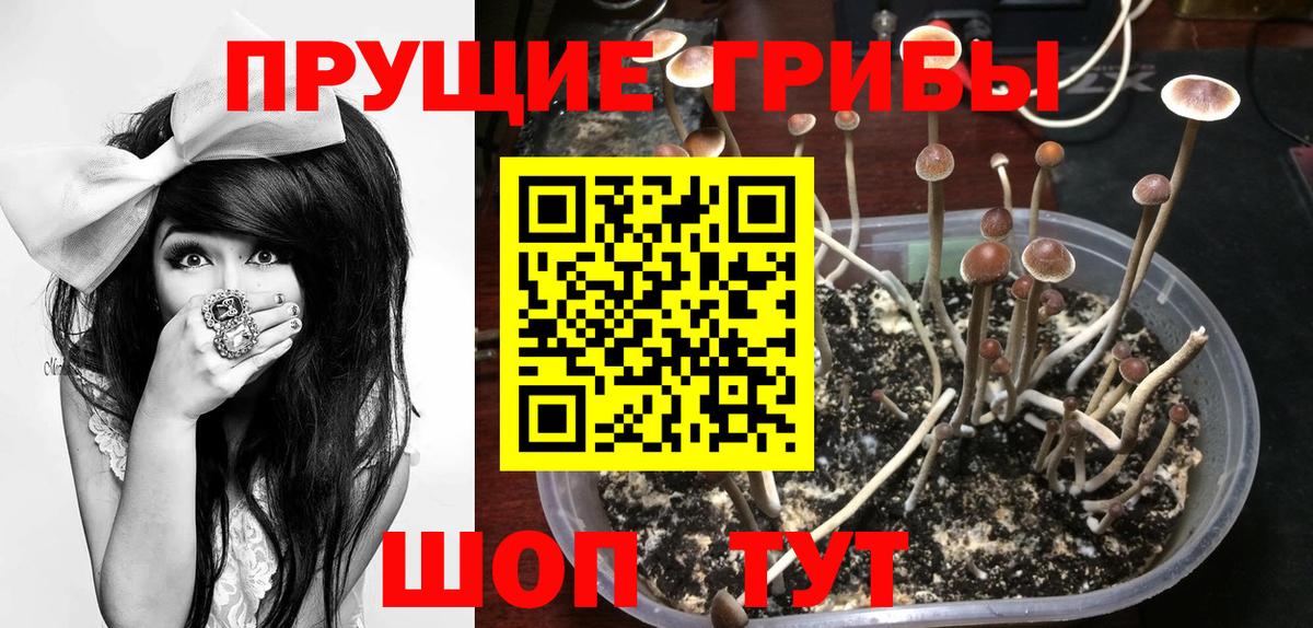 Псилоцибиновые грибы MAGIC MUSHROOMS Кисловодск